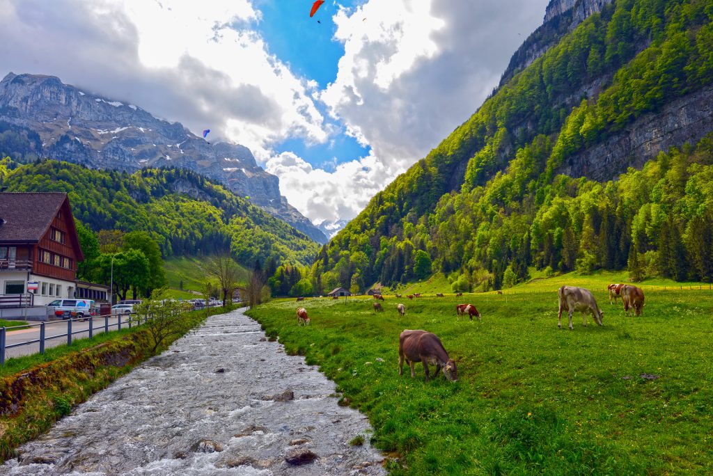 Unsere Standorte Pflegewegweiser Appelzell Innerrhoden